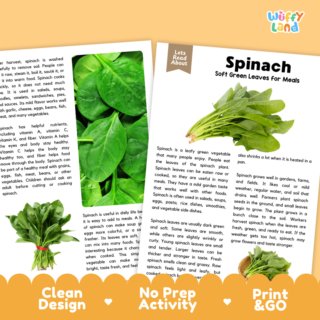 Teacher answer key page showing complete question solutions for spinach reading comprehension practice