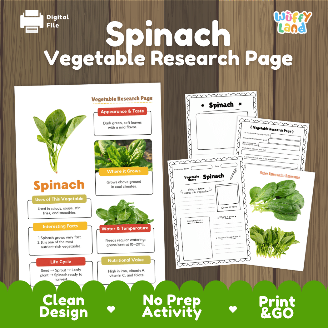 Spinach Vegetable Research Page Worksheets