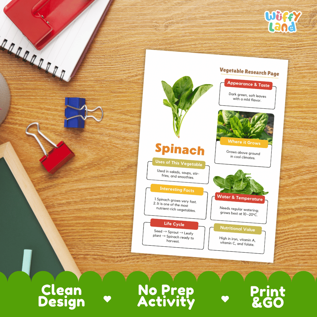 Spinach Vegetable Research Page Worksheets