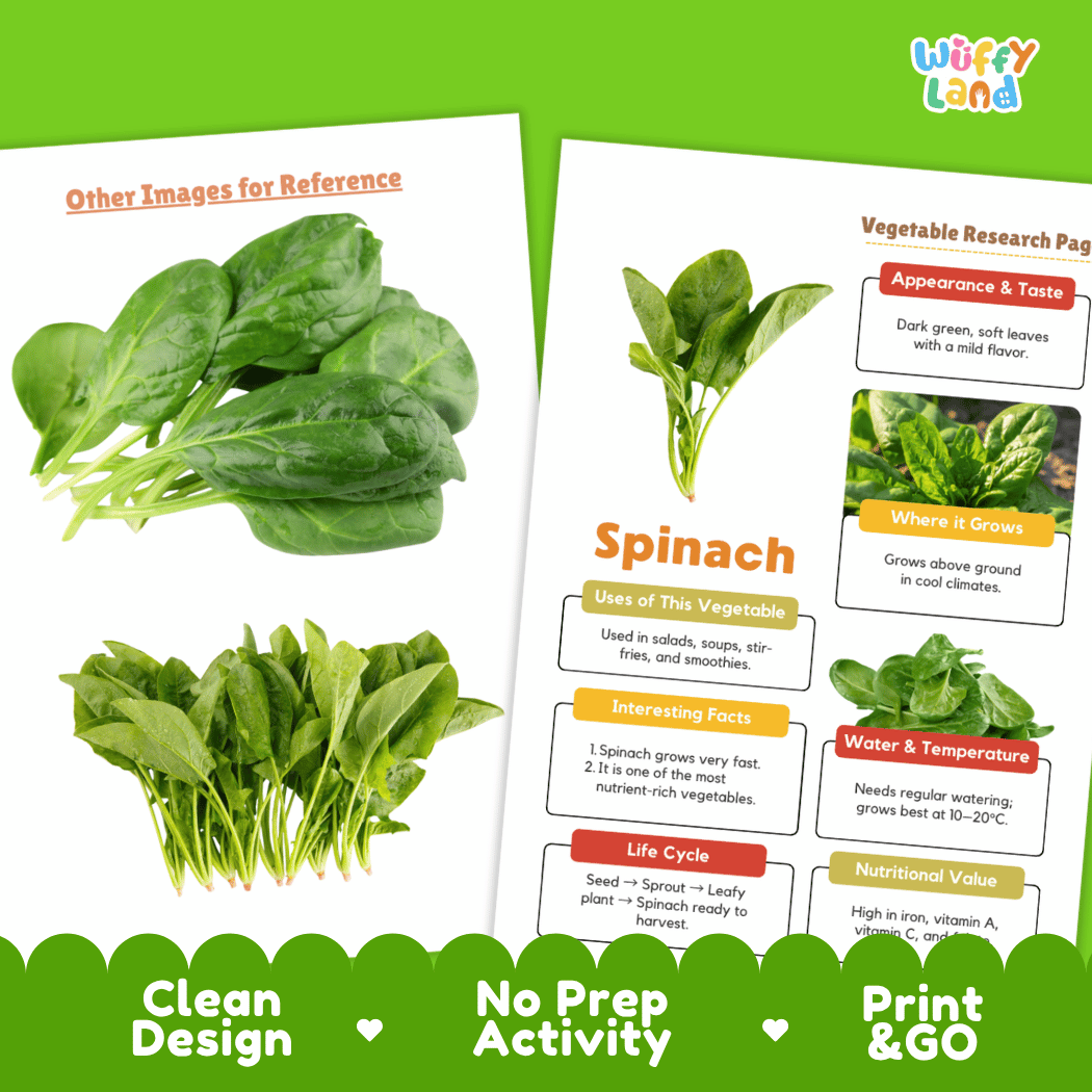 Spinach Vegetable Research Page Worksheets