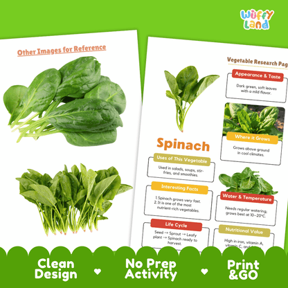 Spinach Vegetable Research Page Worksheets