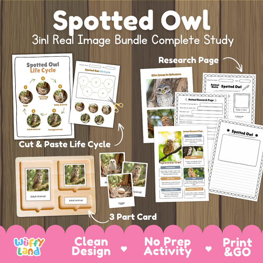 Spotted owl 3-in-1 real image bundle complete study cover showing cut and paste life cycle, 3 part cards, and research pages