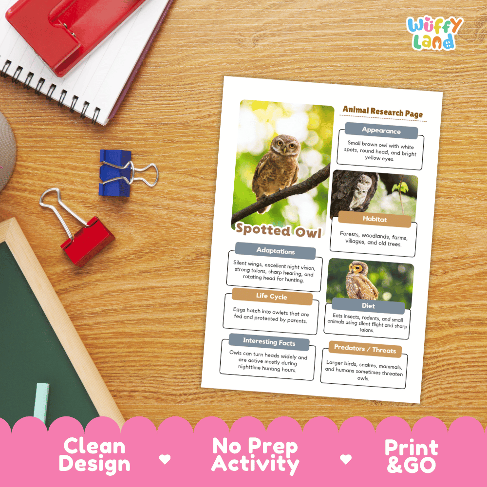 Spotted Owl Animal Research Worksheets and Informational Fact Sheets