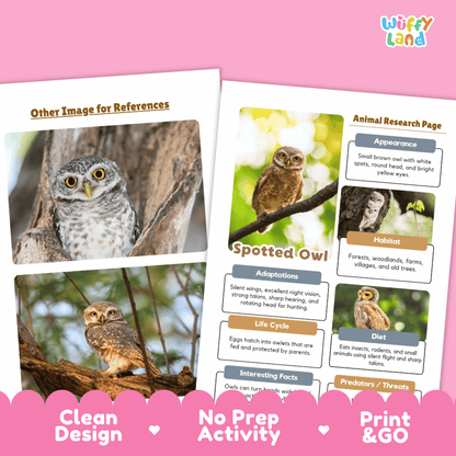 Spotted Owl Animal Research Worksheets and Informational Fact Sheets