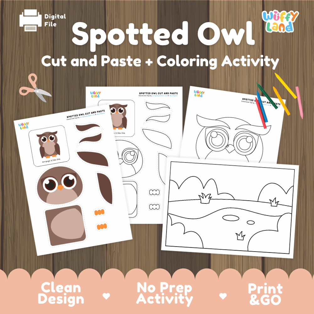 Spotted Owl Cut and Paste Craft and Coloring Activity Worksheets