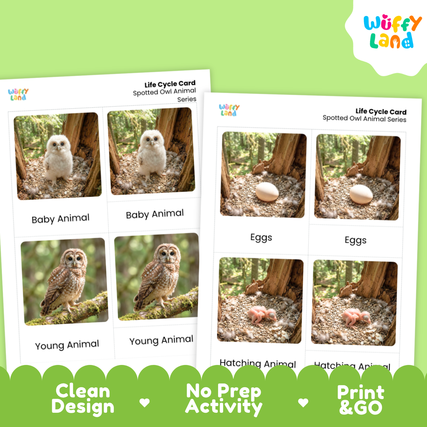 Spotted Owl Life Cycle Flashcards | Montessori 3 Part Cards Science Activity