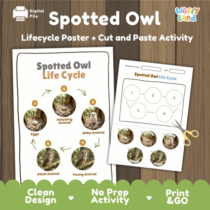 Spotted Owl Life Cycle Poster and Cut and Paste Worksheet Activity