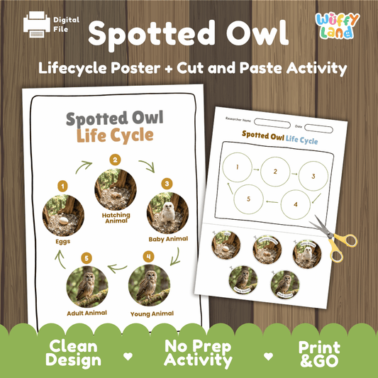 Spotted Owl Life Cycle Poster and Cut and Paste Worksheet Activity