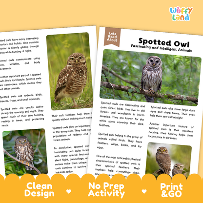 Spotted Owl Reading Passage and Comprehension Questions with Answer Key
