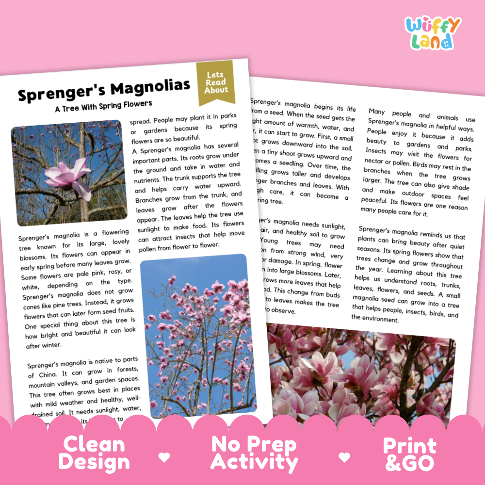 Sprenger's Magnolia Flower Reading Passages Worksheets and Comprehension Activity
