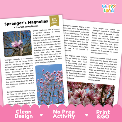 Sprenger's Magnolia Flower Reading Passages Worksheets and Comprehension Activity