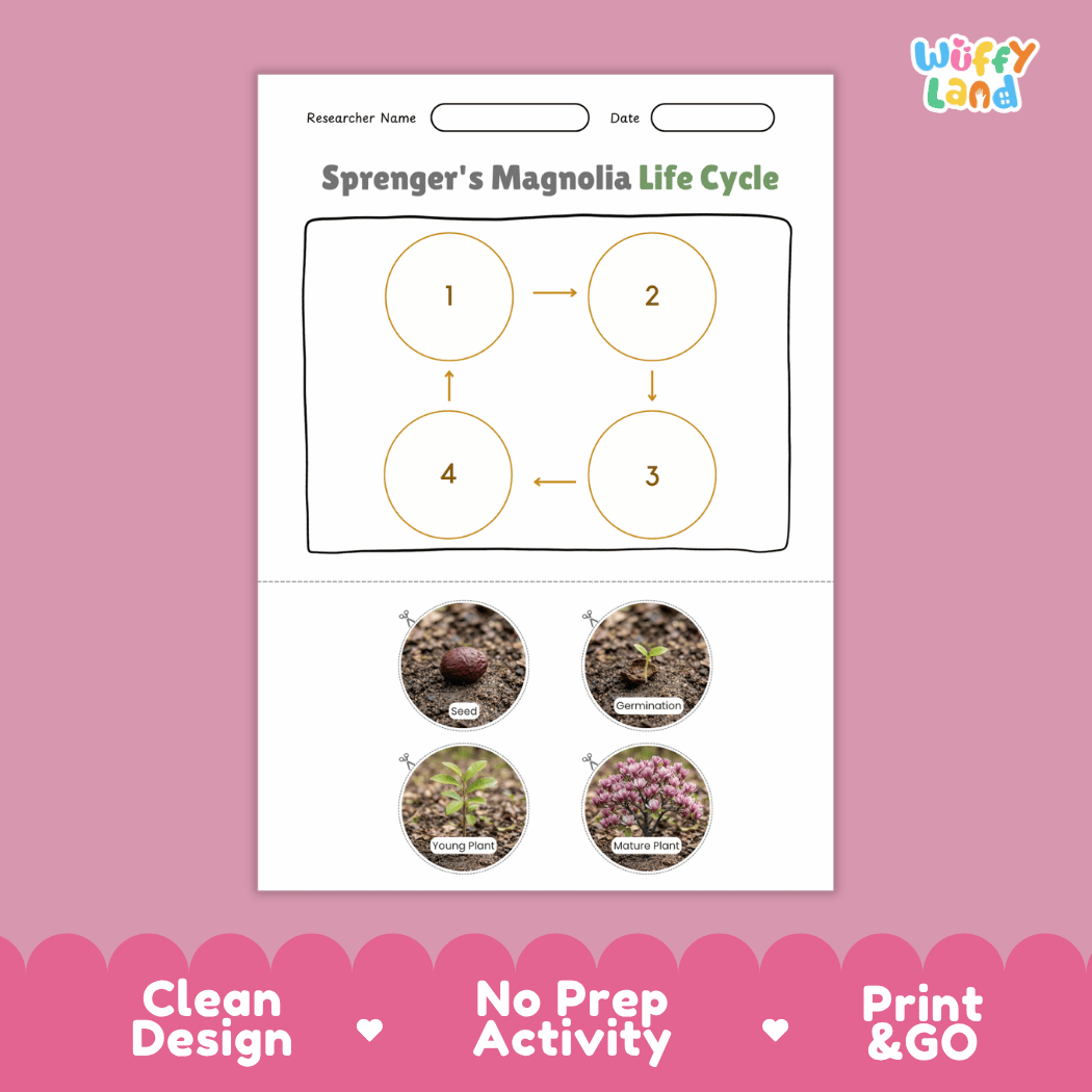 Sprenger's Magnolia Life Cycle Poster and Cut and Paste Activity Worksheet