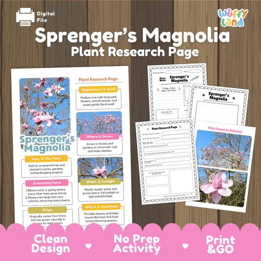 Student plant research page writing worksheets with real vibrant pink magnolia flower branch photos, lined note-taking prompts, and drawing frames