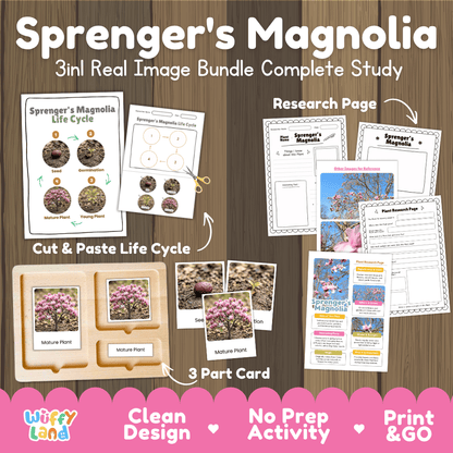 Sprenger's magnolia tree 3in1 real image bundle complete study printable featuring life cycle cut and paste worksheets, Montessori 3-part cards, and research pages
