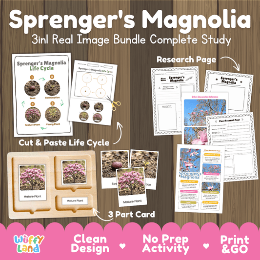 Sprenger's magnolia tree 3in1 real image bundle complete study printable featuring life cycle cut and paste worksheets, Montessori 3-part cards, and research pages
