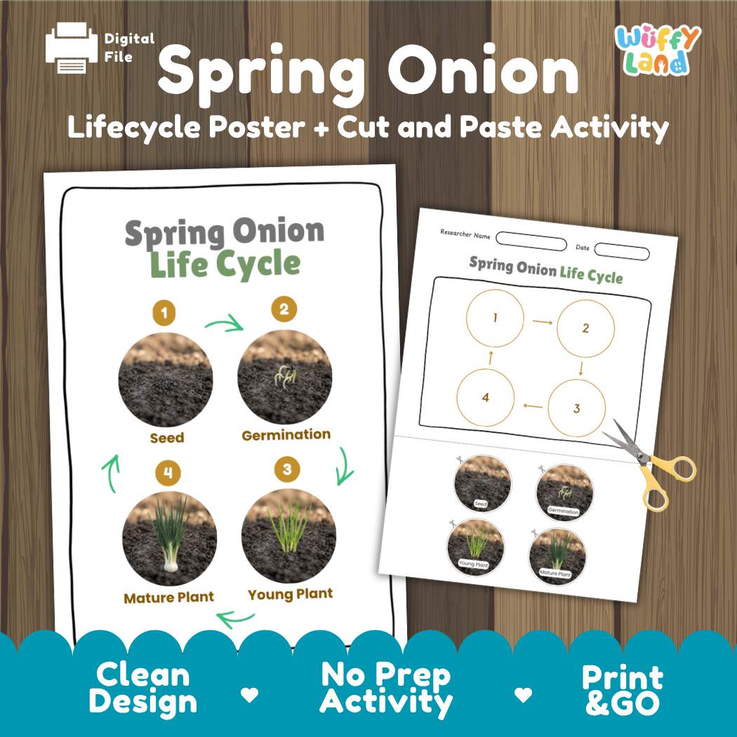 Spring onion life cycle educational printable pack cover showing visual reference poster and cut and paste sequencing worksheet with real photos