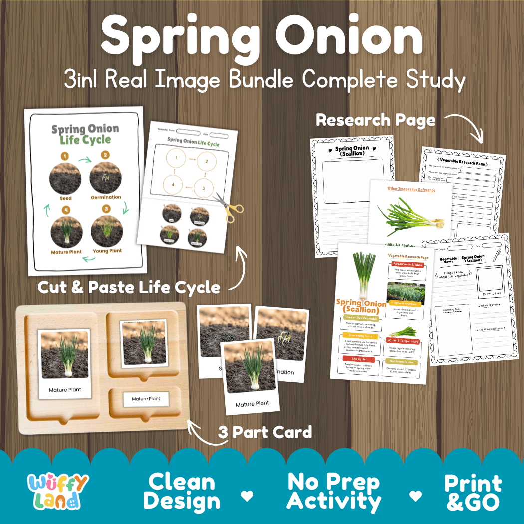 Spring onion scallion 3in1 real image bundle complete study printable featuring life cycle cut and paste worksheets, Montessori 3-part cards, and research pages