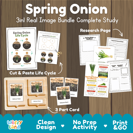 Spring onion scallion 3in1 real image bundle complete study printable featuring life cycle cut and paste worksheets, Montessori 3-part cards, and research pages