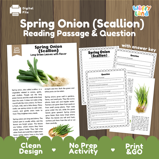 Spring onion scallion reading comprehension passage and questions printable activity pack with answer key for elementary students