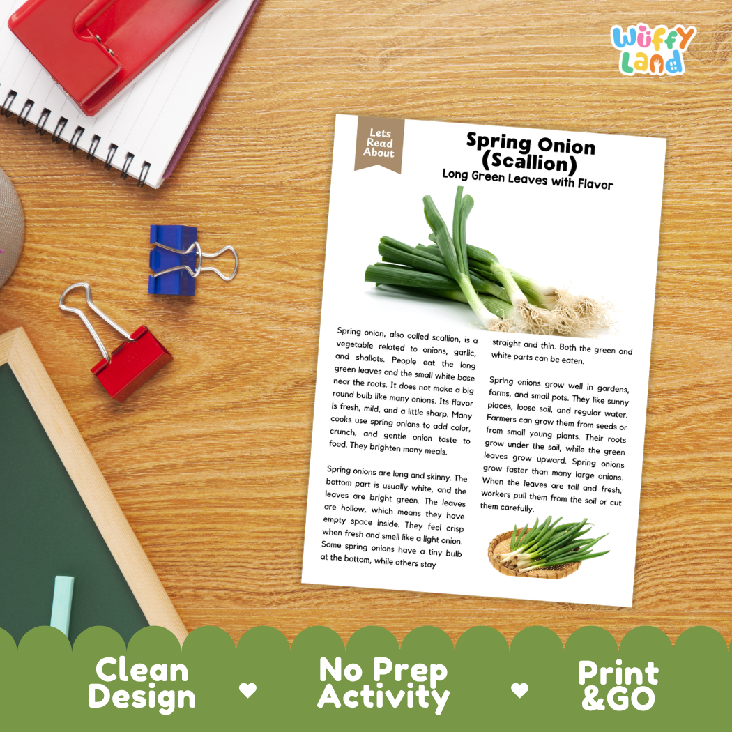 Student reading comprehension worksheet with short-answer questions and lined sections about spring onions and scallions
