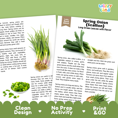 Teacher answer key page showing complete question solutions for spring onion reading comprehension practice