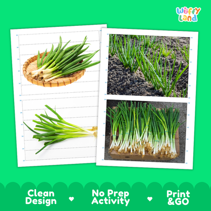 Printable activity sheets featuring photographic spring onion puzzle boards and cutting guides