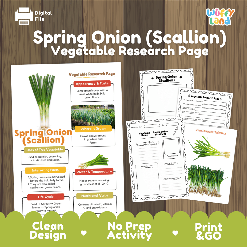 Spring Onion Scallion Vegetable Research Page Worksheets