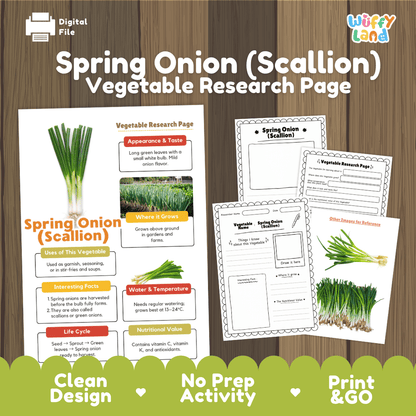 Spring Onion Scallion Vegetable Research Page Worksheets