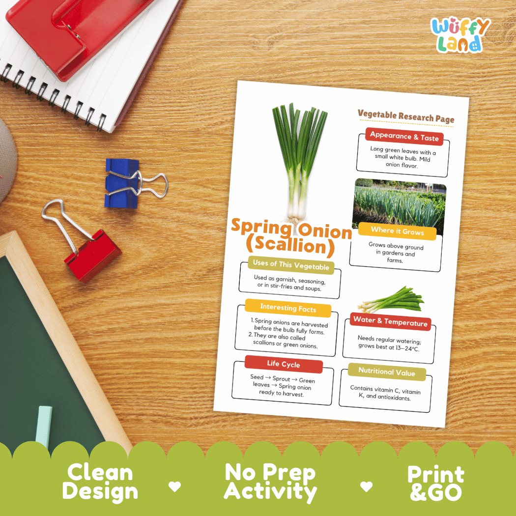 Spring Onion Scallion Vegetable Research Page Worksheets
