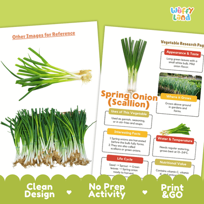 Spring Onion Scallion Vegetable Research Page Worksheets
