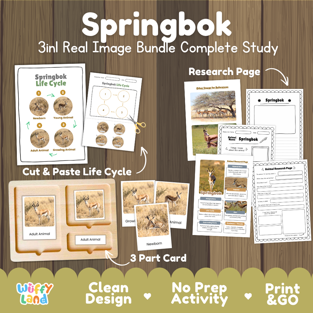 Springbok 3-in-1 real image bundle complete study cover showing cut and paste life cycle, 3 part cards, and research pages