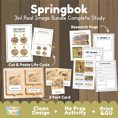 Springbok 3-in-1 real image bundle complete study cover showing cut and paste life cycle, 3 part cards, and research pages