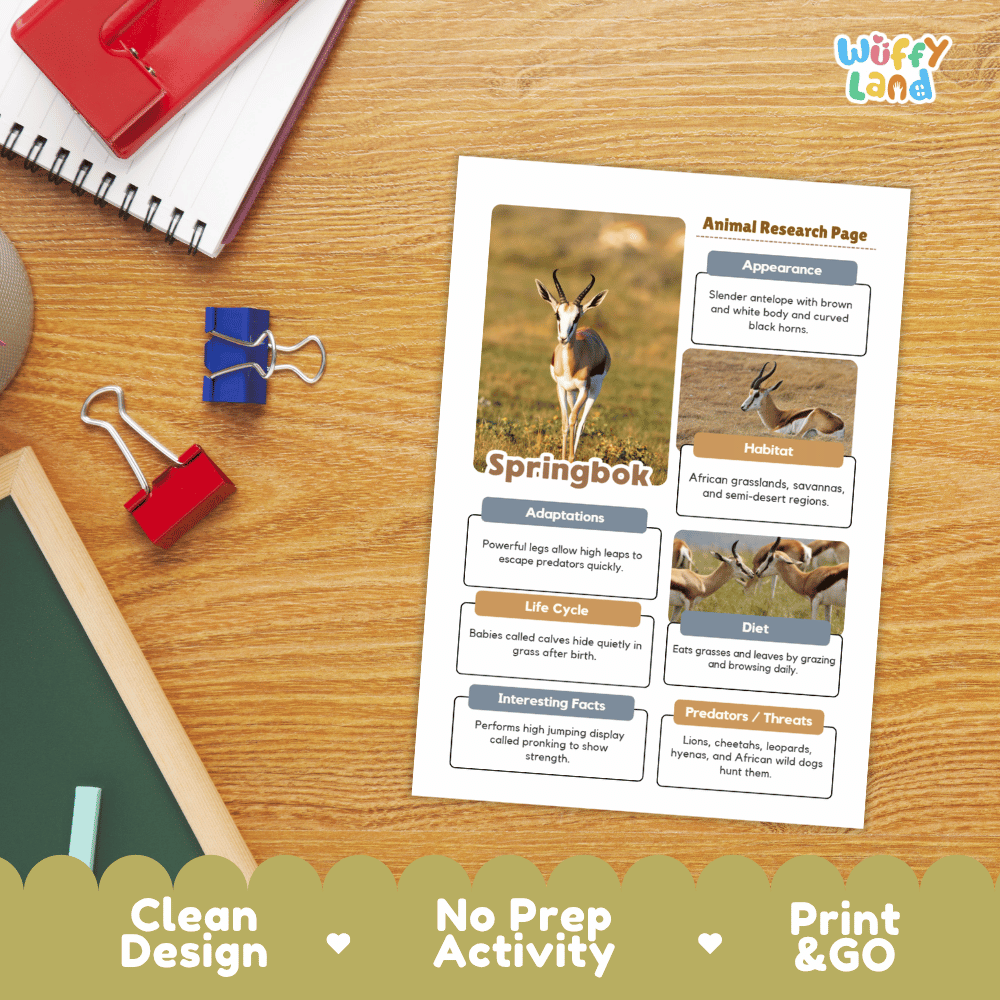 Springbok Animal Research Worksheets and Informational Fact Sheets
