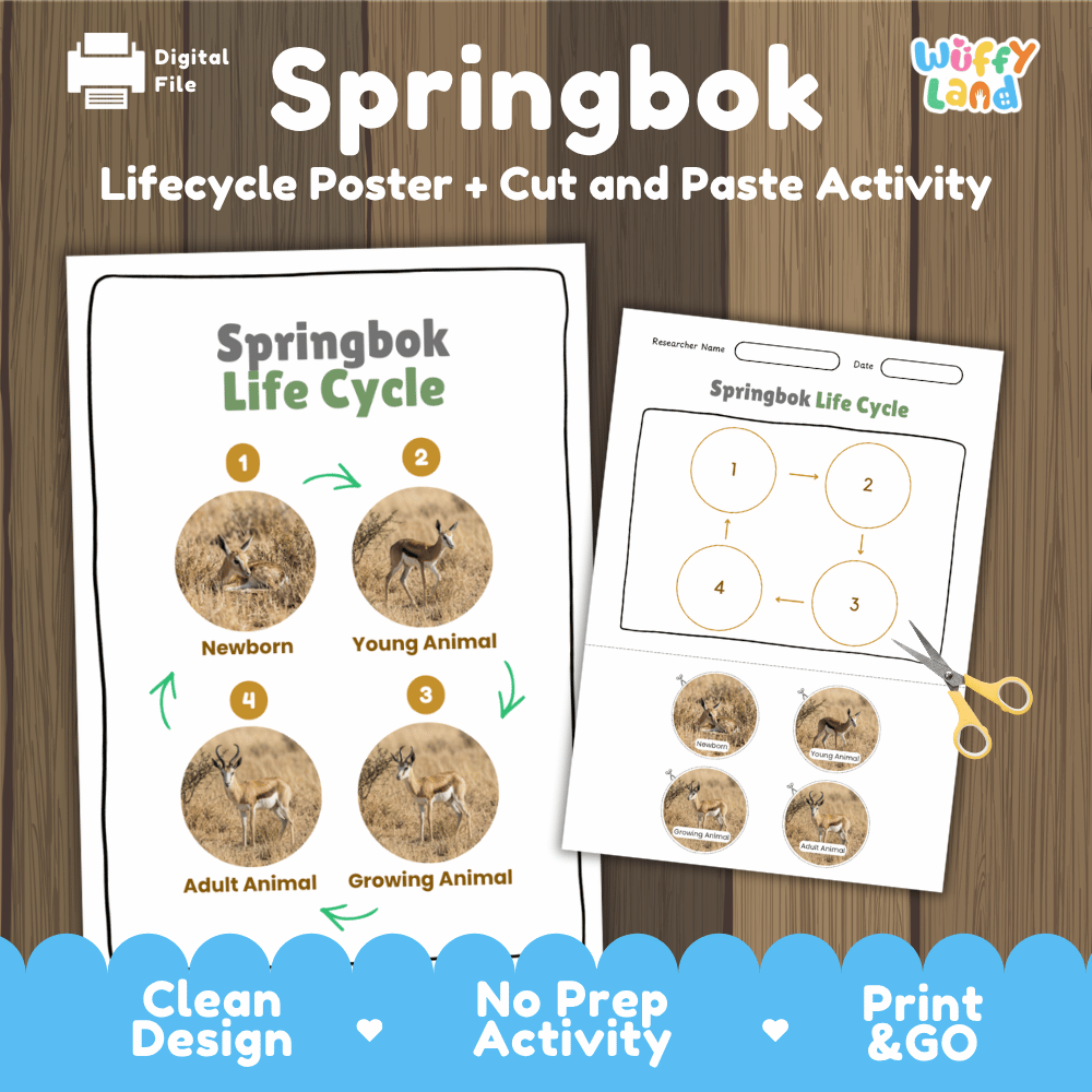 Springbok Life Cycle Poster and Cut and Paste Activity Worksheets