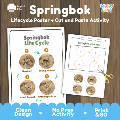 Springbok Life Cycle Poster and Cut and Paste Activity Worksheets