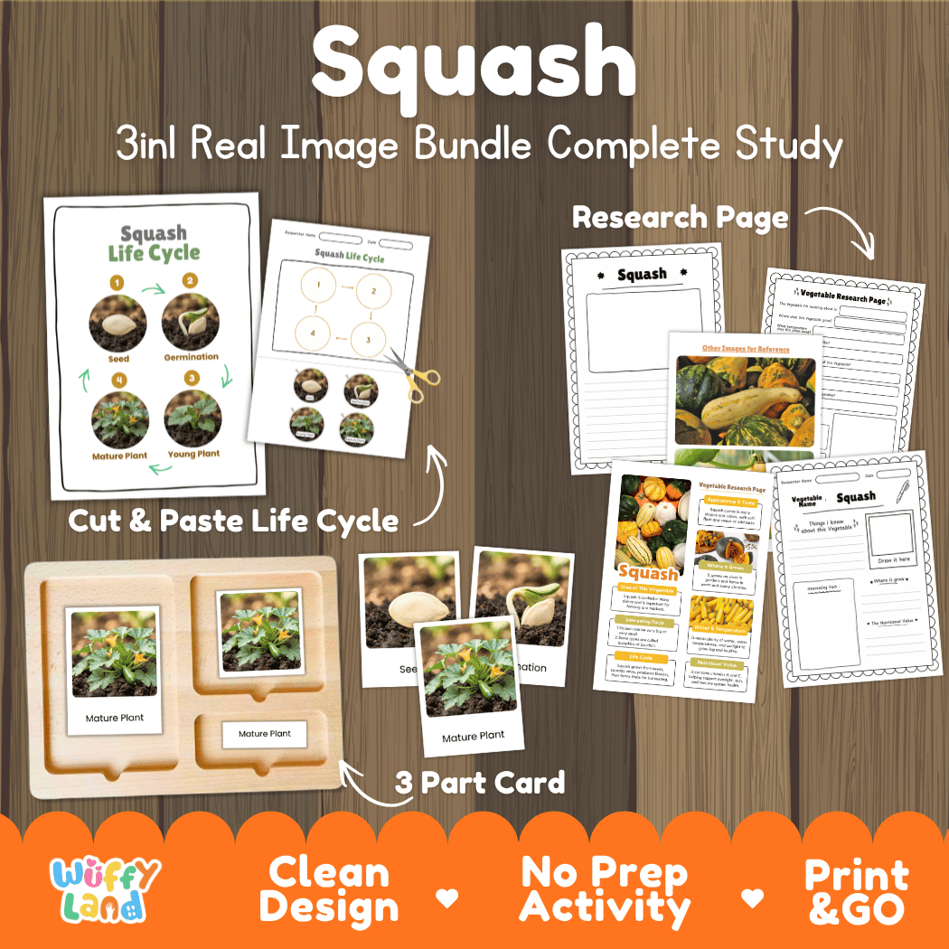Squash 3in1 real image bundle complete study printable featuring life cycle cut and paste worksheets, Montessori 3-part cards, and research pages