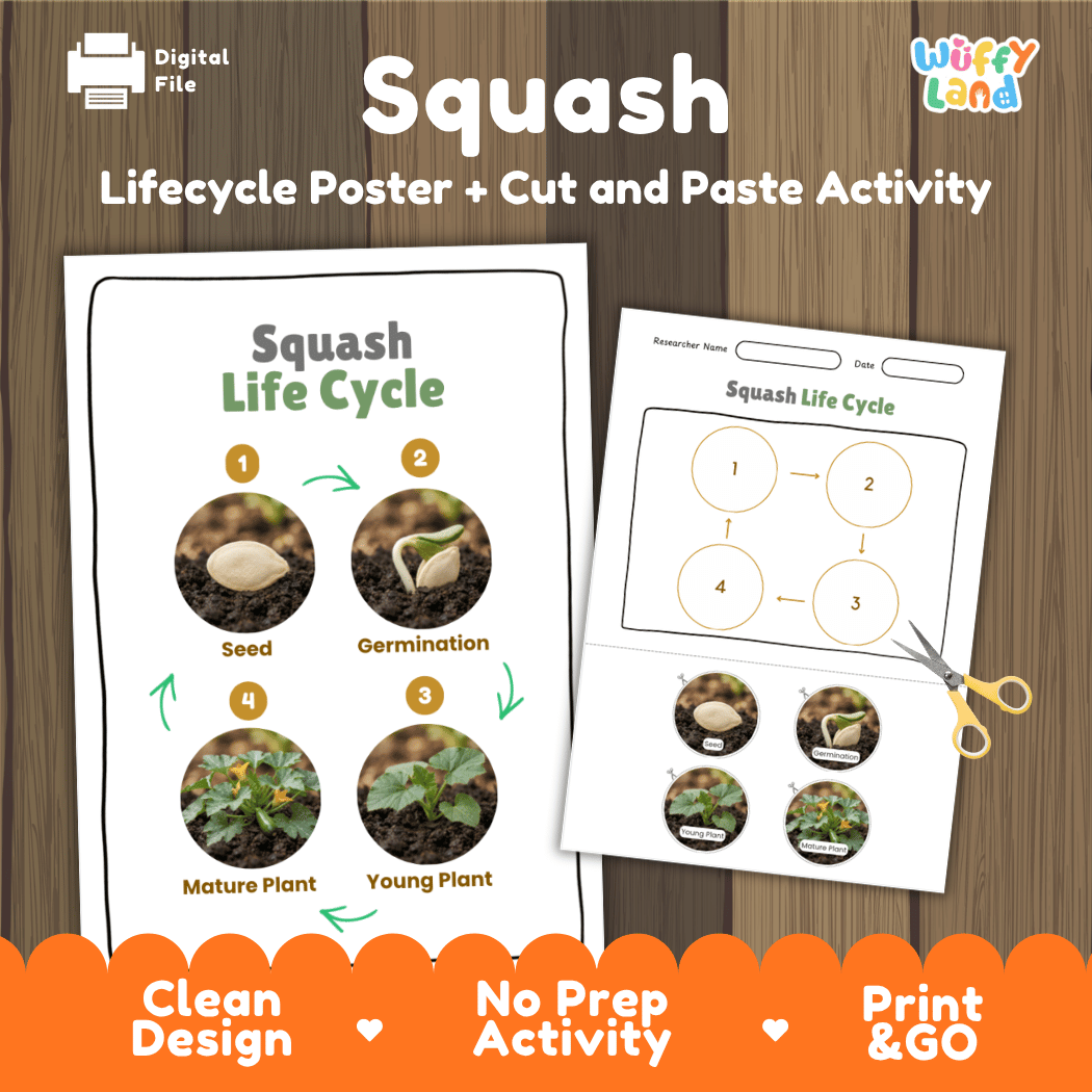 Squash plant life cycle educational printable pack cover showing visual reference poster and cut and paste sequencing worksheet with real photography