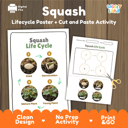 Squash plant life cycle educational printable pack cover showing visual reference poster and cut and paste sequencing worksheet with real photography