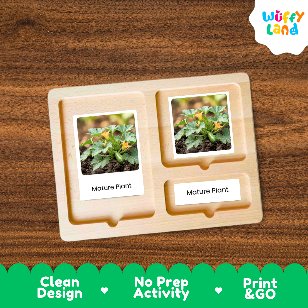 A wooden Montessori-style activity tray with two labeled slots reading 'Mature Plant,' shown on a brown wood surface. The tray contains small printed photos of a plant and is branded with the 'Wuffi Land' logo in the top right.