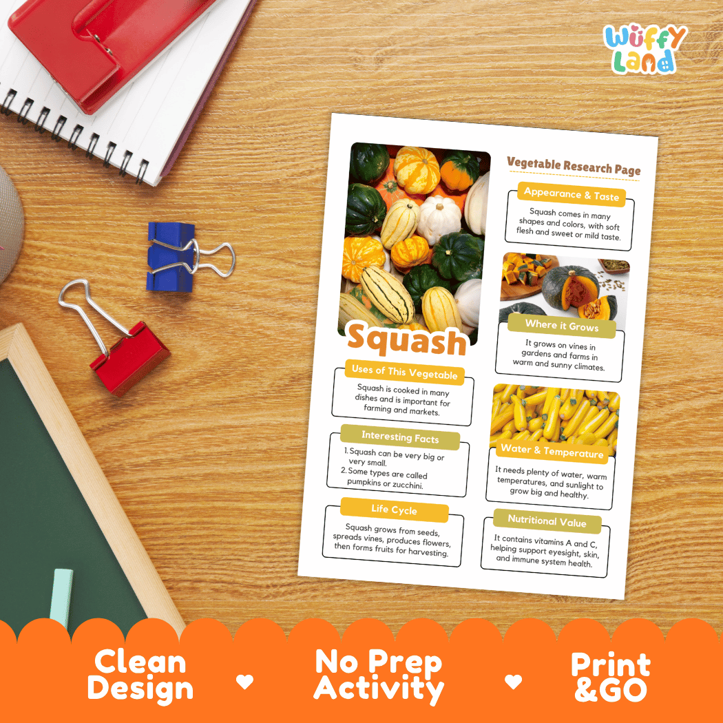 Squash Vegetable Research Page Worksheets and Fact Sheet