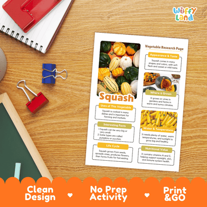 Squash Vegetable Research Page Worksheets and Fact Sheet