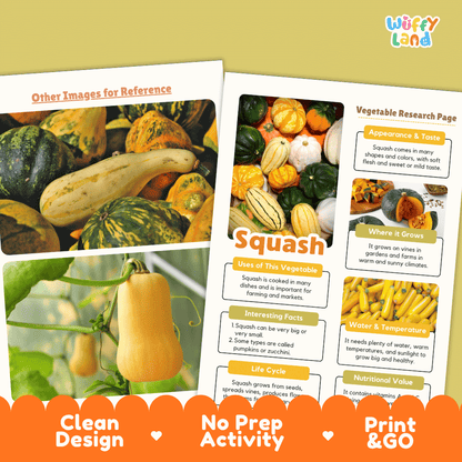 Squash Vegetable Research Page Worksheets and Fact Sheet