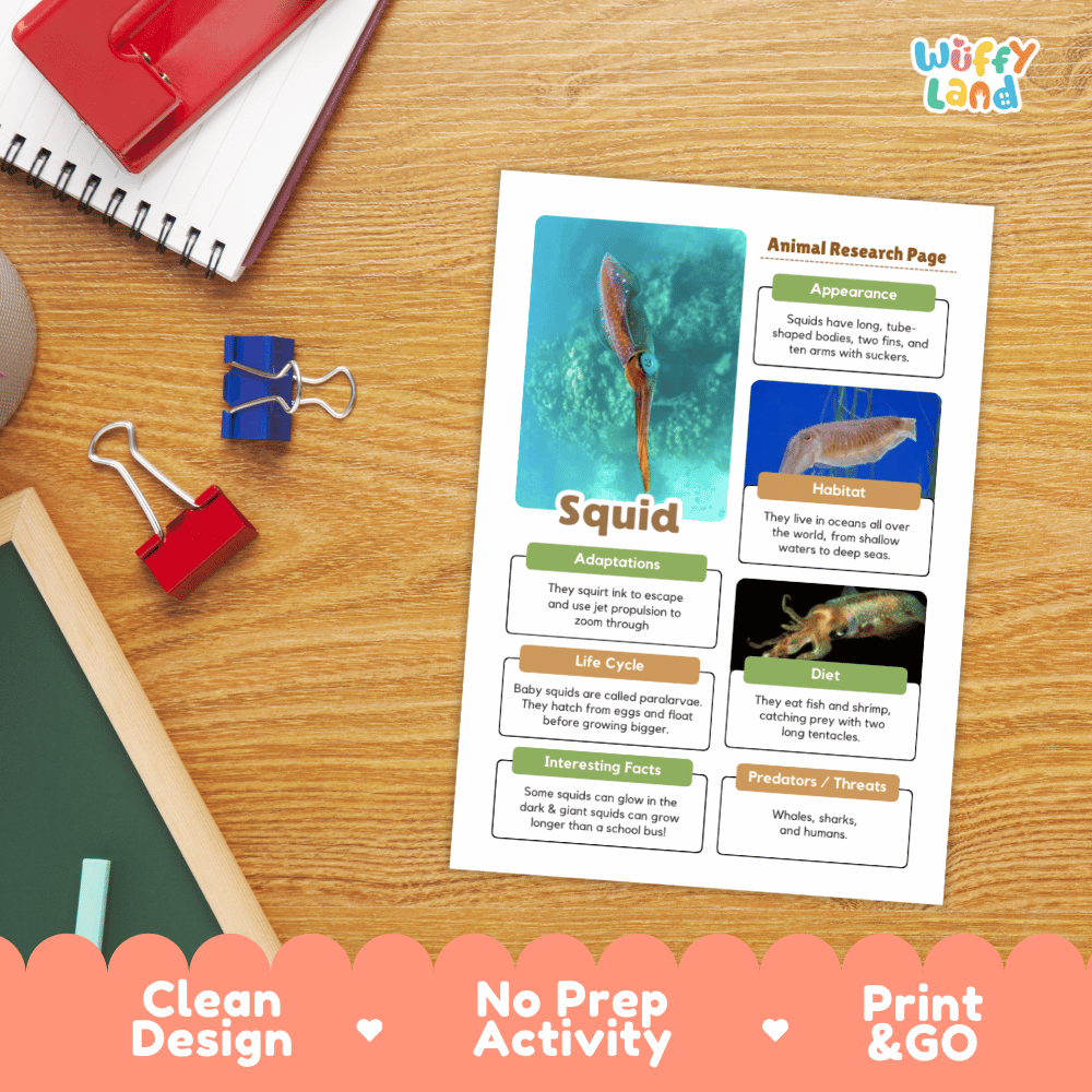 An educational printout titled 'Animal Research Page' about a squid, styled on a wooden desk with school supplies. The print features colorful text boxes, images, and a blue squid photograph.