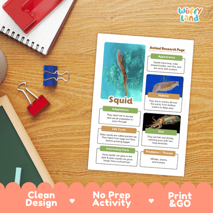 An educational printout titled 'Animal Research Page' about a squid, styled on a wooden desk with school supplies. The print features colorful text boxes, images, and a blue squid photograph.