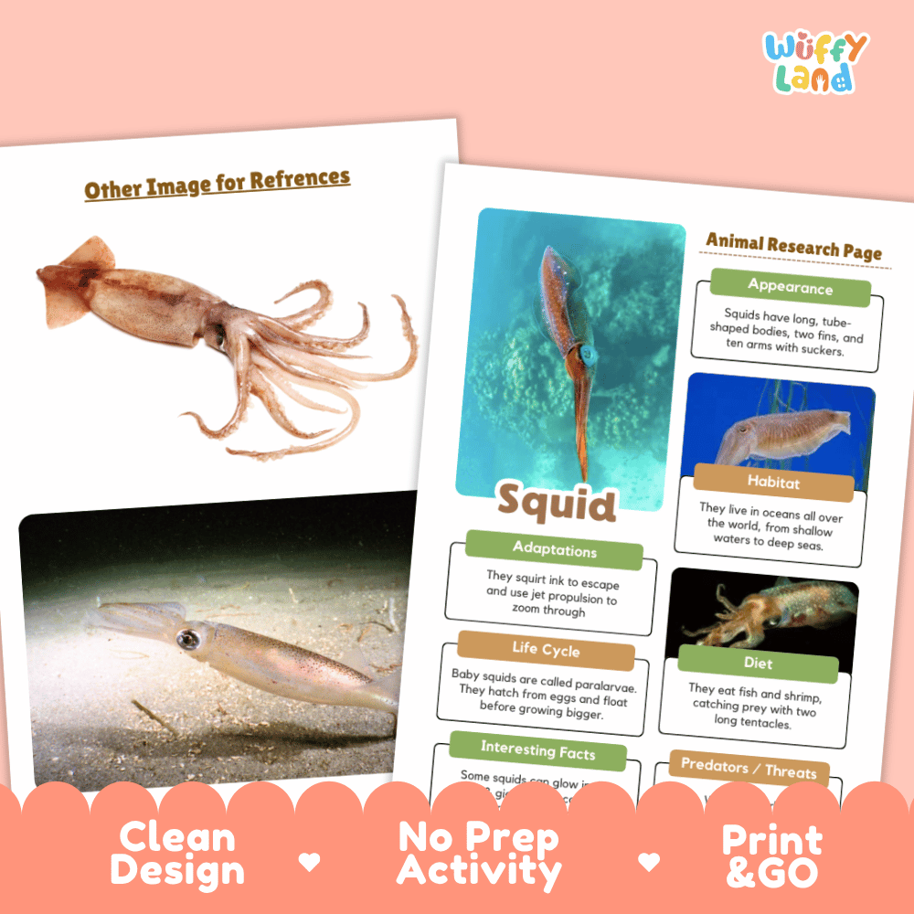 Two printed educational activity sheets for studying squids, displayed on a peach background with a decorative orange banner at the bottom. The sheets include text sections like 'Other Image for References,' 'Animal Research Page,' and 'Squid,' along with inset photos of a squid and a shrimp.