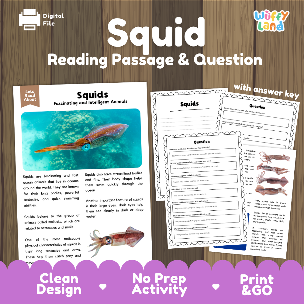 Squid Reading Passage and Comprehension Questions Worksheets