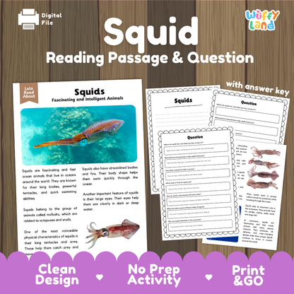 Squid Reading Passage and Comprehension Questions Worksheets