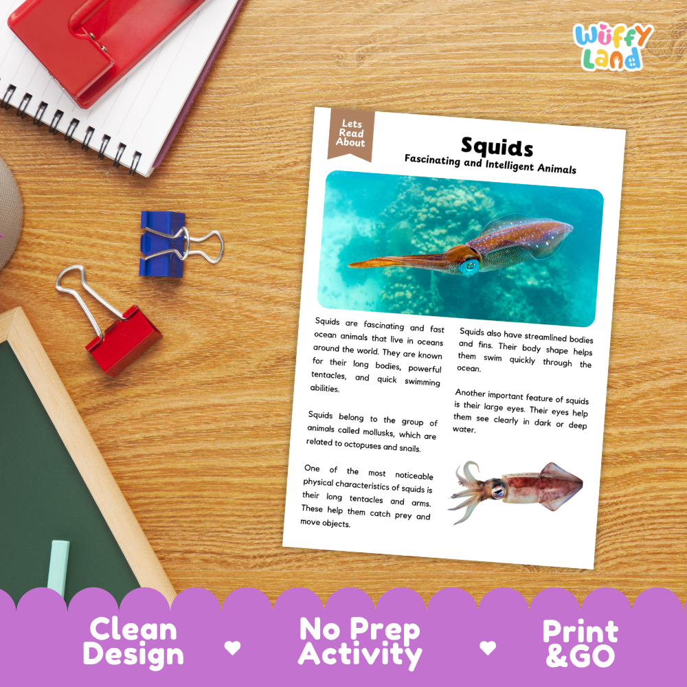 Squid Reading Passage and Comprehension Questions Worksheets