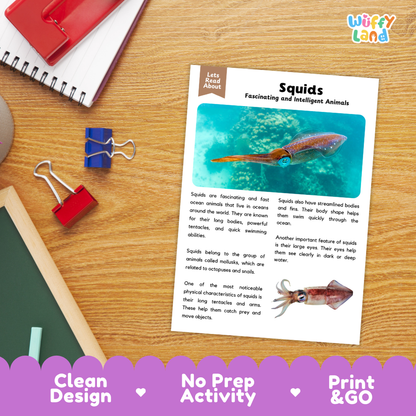Squid Reading Passage and Comprehension Questions Worksheets