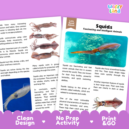 Squid Reading Passage and Comprehension Questions Worksheets